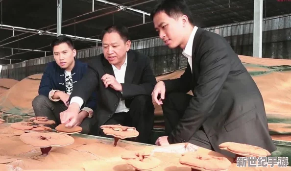 808影視電視劇免費(fèi)看