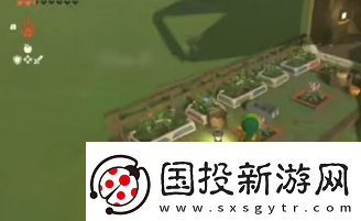 塞爾達(dá)傳說(shuō)王國(guó)之淚怎么造房子