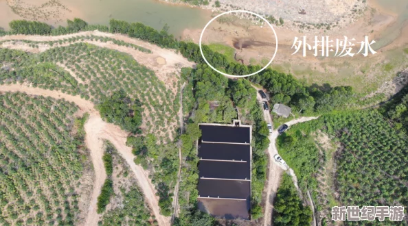 白鹿的隱身部位黃