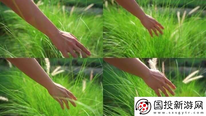 雙手：繁茂草叢中探索