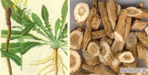 銅銅銅銅銅銅銅銅好大好深板