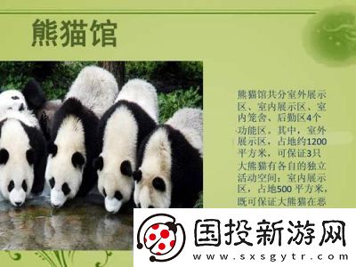 動物森林法則莎雯原型介紹及特點