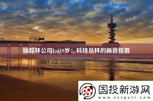 仙蹤林公司Ltd19歲：科技叢林的新晉怪獸