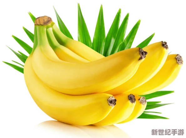 香蕉911：探討香蕉在全球食品安全危機中的角色與影響-以及其對經(jīng)濟和健康的潛在威脅與機遇