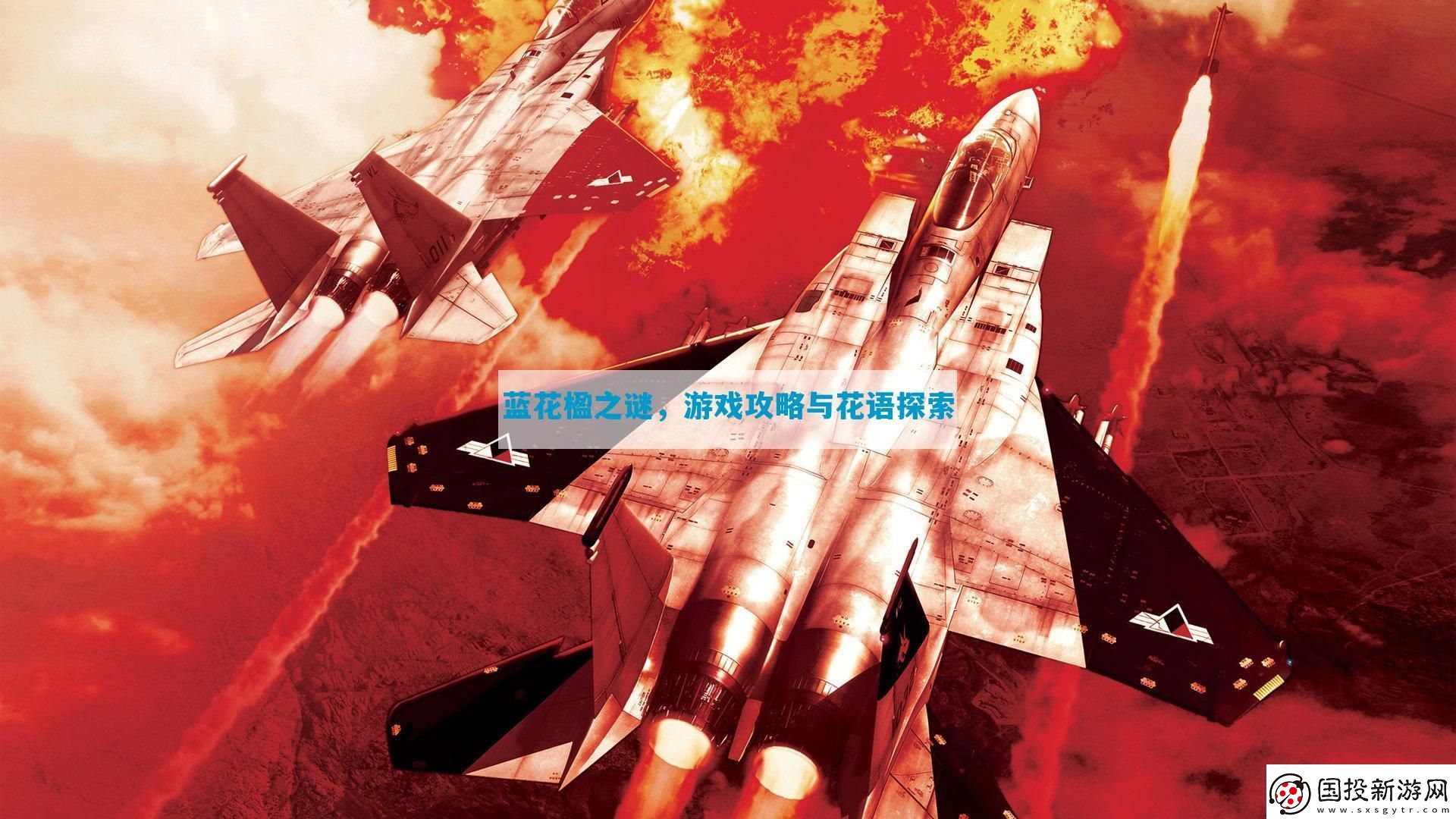 藍(lán)花楹之謎與花語探索