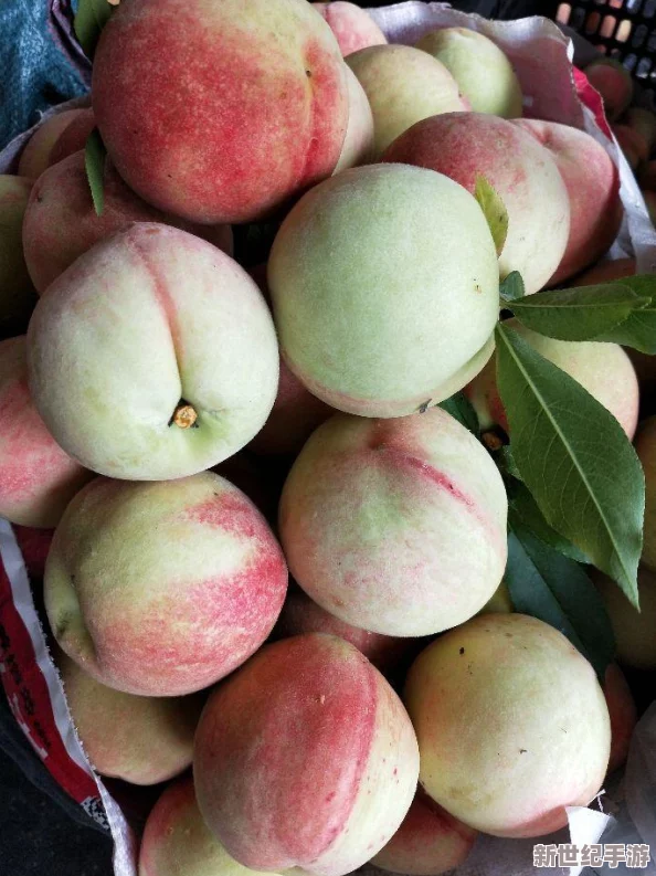 水蜜桃一二三四專區(qū)