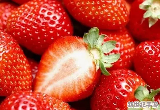 草莓視頻成人網站-免費：提供豐富多樣的成人內容-用戶可以免費觀看各類視頻-滿足不同需求與興趣