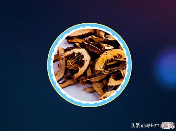 積枳桶積枳免費(fèi)大全：最新更新與使用技巧分享-助你輕松獲取更多資源和信息