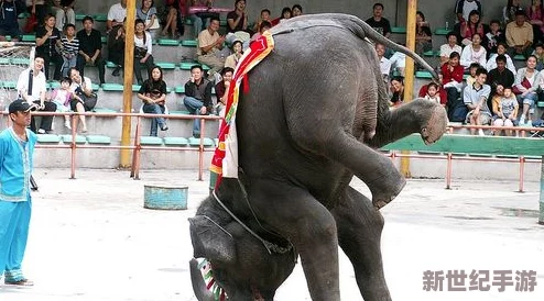 甘雨和丘丘人繁衍后代