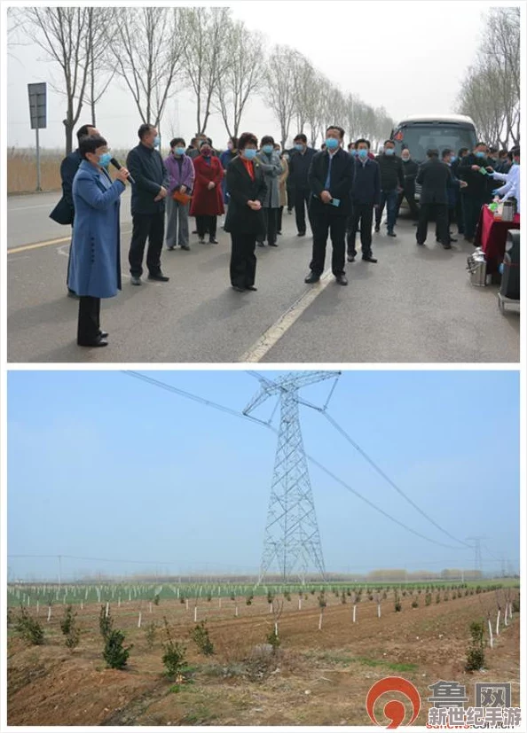 榆樹老人做交易森林圖片引發(fā)網(wǎng)友熱議