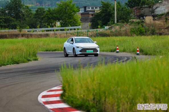 顛簸的公交車：乘客們分享在城市交通中遇到的挑戰(zhàn)與應(yīng)對策略-探討如何改善公共交通體驗