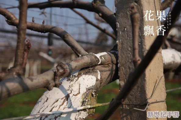 部落沖突策略升級(jí)