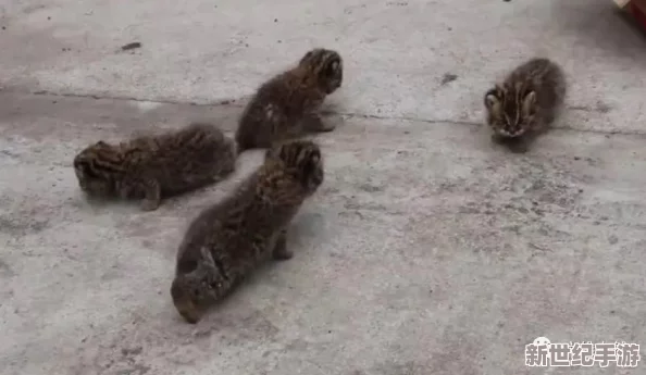 男生和女生拆拆很痛的輪滑鞋