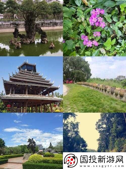 英雄戰(zhàn)歌：古墓琴瑟效果獲取圖鑒——探尋神秘古墓-掌握英雄力量