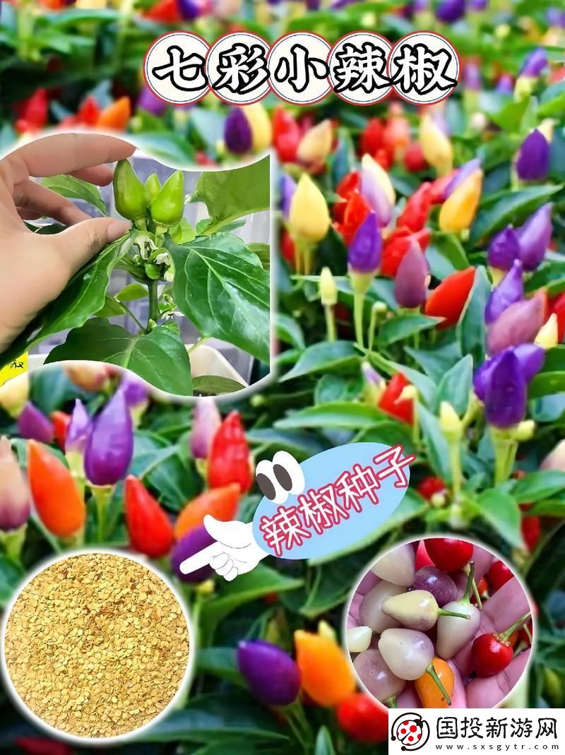 美麗的小辣椒3最經(jīng)典的一句：“生活不止眼前的茍且-還有詩和遠方?！? uk-cover>
                                </a>
                            </div>
                            <div   id=