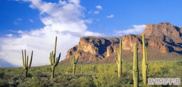 海角真實(shí)亂倫：揭示在偏遠(yuǎn)地區(qū)家庭關(guān)系復(fù)雜性與社會(huì)禁忌交織下的真實(shí)故事-探討人性深處的掙扎與沖突