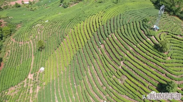 全面探索不思議迷宮