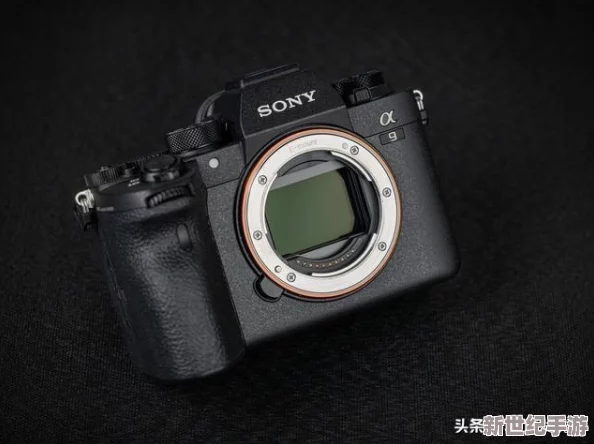 每日大賽反差大賽網(wǎng)