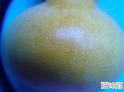 葫蘆里邊不賣藥