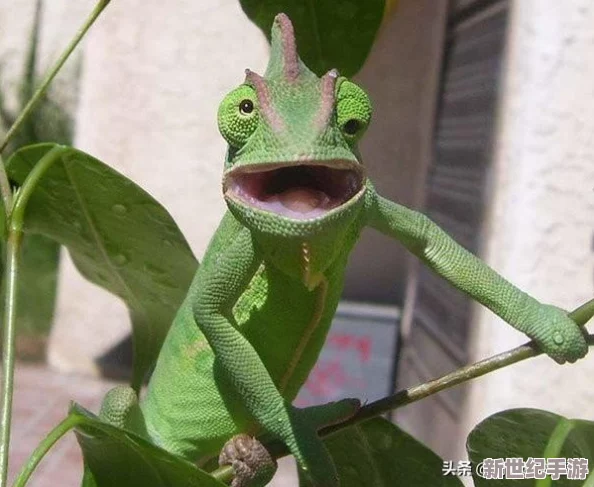 球球大作戰(zhàn)：揭秘體積膨脹后的加速成長策略與實戰(zhàn)技巧分享