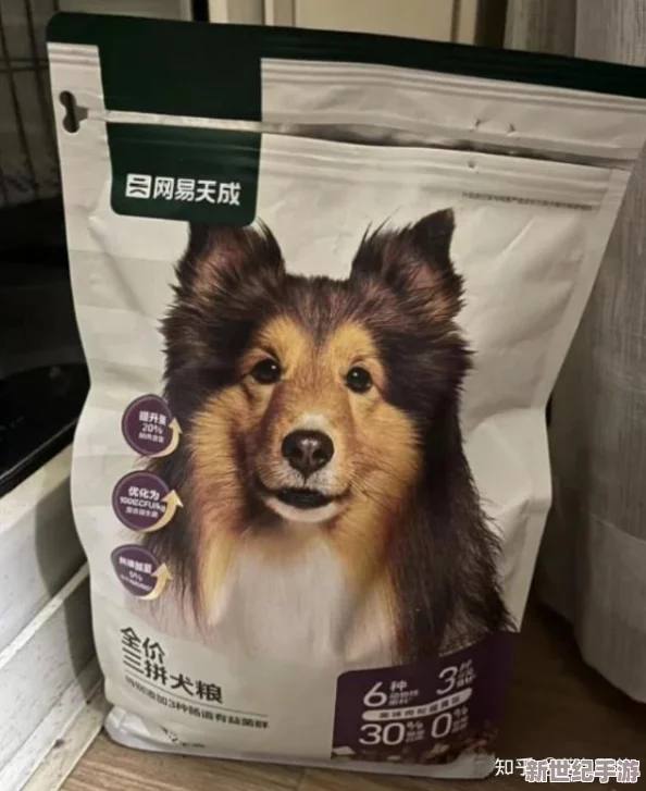 人狗膠配方大全狗狗一：2024年最受歡迎的健康養(yǎng)犬新趨勢與實用技巧分享