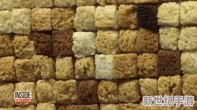 俄羅斯人與ZOOM人的性格差異