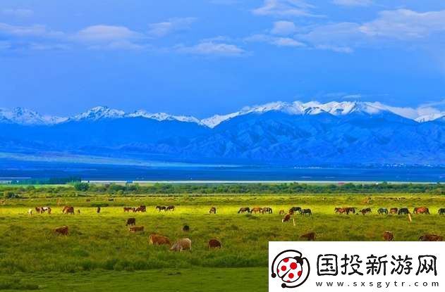 新疆昭蘇縣被譽(yù)為“天馬之鄉(xiāng)”對不對