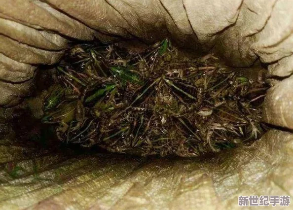 夜間禁止的10款軟件b站