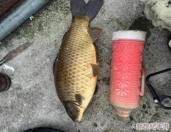 閃爍之光新區(qū)開放時(shí)間：萬眾期待！全新冒險(xiǎn)即將在這個(gè)周末震撼開啟-準(zhǔn)備好迎接挑戰(zhàn)了嗎