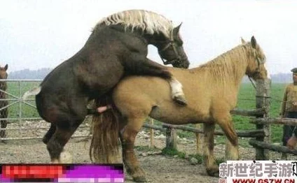 震驚！雷電將軍和丘丘人繁衍后代詳解