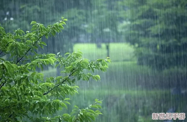 芳草萋萋掩玉門