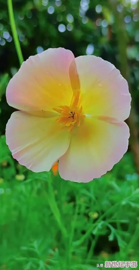 婷色五月天：在這個(gè)充滿生機(jī)與活力的季節(jié)里-感受婷色帶來(lái)的美麗與溫暖-讓我們一起享受五月的絢爛時(shí)光