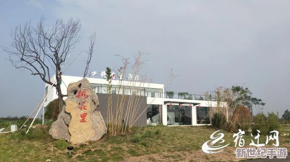 桃花師如何升等級-震驚！竟然可以通過這個簡單的方法快速提升等級-您絕對想不到！