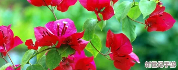 男生與女生一起錯(cuò)錯(cuò)錯(cuò)