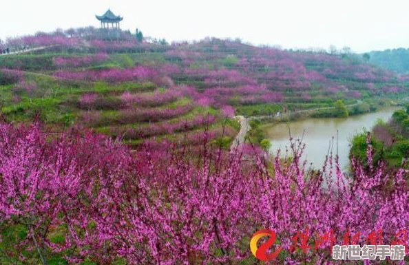 桃花師如何升等級