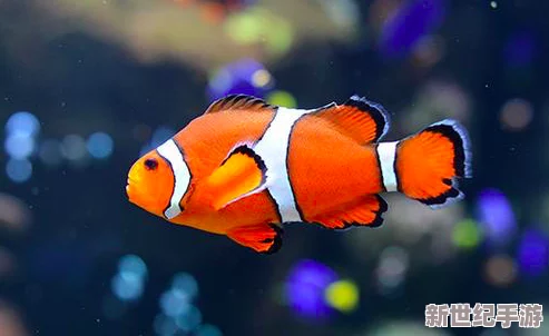 歐洲人與禽類Zoz0交互的社會文化影響及其對生態(tài)系統(tǒng)的潛在威脅研究