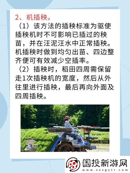 夫妻插秧38種方法圖片大全-網(wǎng)友：用心和愛編織田間情