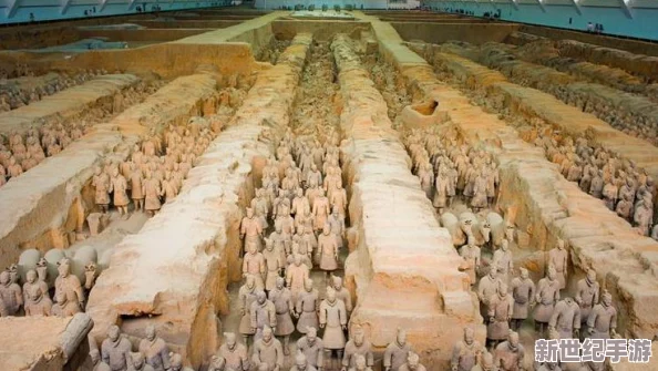 櫻花草高清在線：震撼發(fā)布全新VR體驗(yàn)-讓你身臨其境感受櫻花綻放的奇幻之旅！