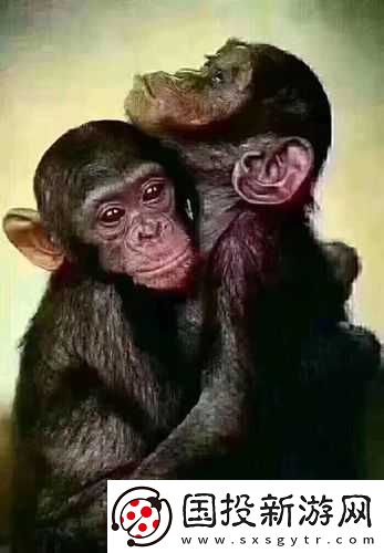 倆猴子抱一起形容愛情：永恒的陪伴