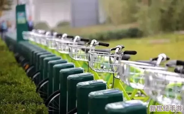 殘疾人蔭道BBwBBB