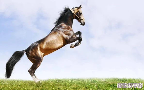 人馬配速45分鐘是一個令人震驚的成就