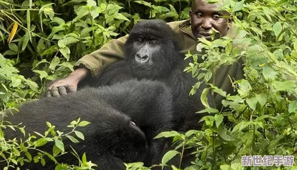 被黑人狂躁到抽搐-現(xiàn)場目擊者驚呆-竟無一人敢上前施救！