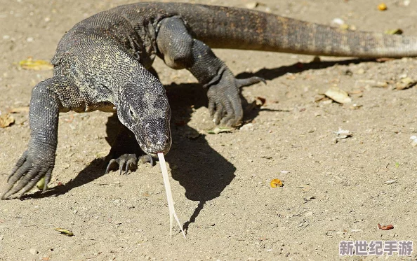 兩人生猴子的全過程不蓋被子