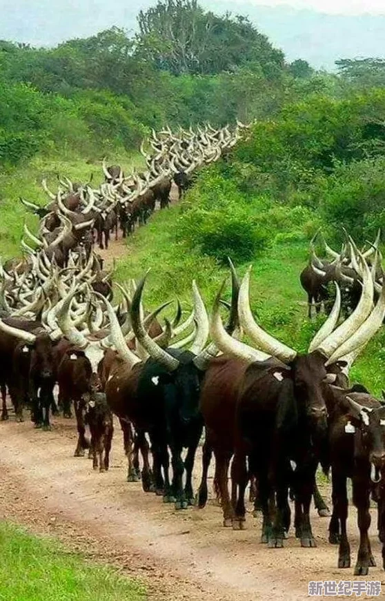 拔蘿卜無減除大牛-驚現(xiàn)奇特生物現(xiàn)身農(nóng)田-專家稱將引發(fā)農(nóng)作物革命！