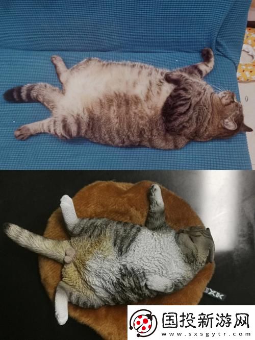 瘋狂科技潮！除了柚子貓和玩偶