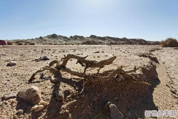 亞洲一二三無人區(qū)有多受歡迎-數(shù)萬游客爭相游覽-神秘景觀吸引國際探險者熱議！
