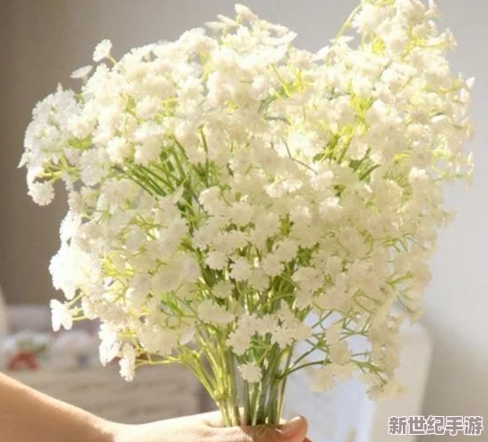 震驚！法國滿天星八尺夫人竟然被發(fā)現(xiàn)秘密身份-背后隱藏不可思議的故事-讓人難以置信！