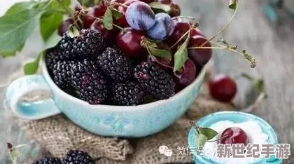 麻豆香蕉草莓絲瓜榴蓮櫻桃