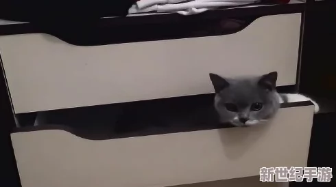 柚子貓小僵尸黑料爆料：震驚！竟然隱藏著不可告人的秘密-真相令人心碎！