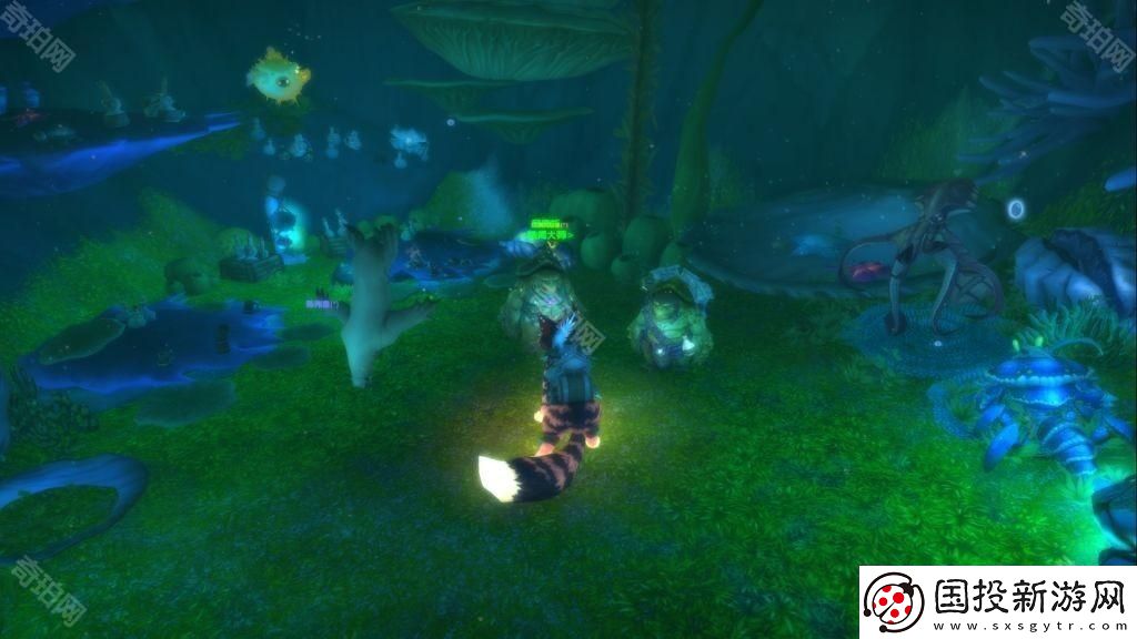 魔獸世界20周年全慶典箱子在哪